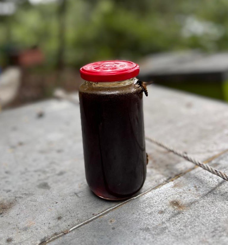 Madu Hutan Akasia